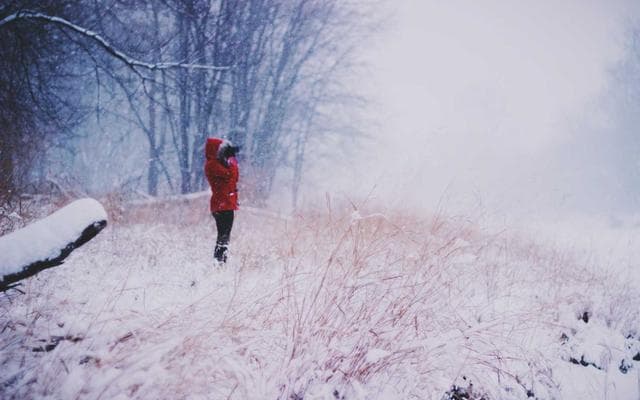 Việt Nam có thể mẫu tím giá rẻ, béo bở đứng lại ngựa cả ung thư